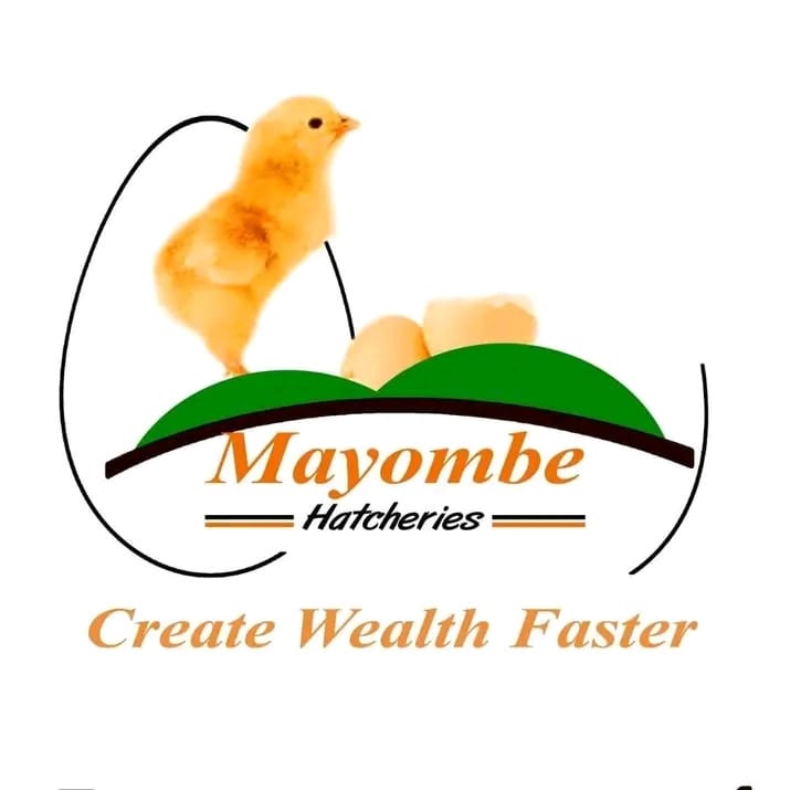 mayombehatcheries.co.ke